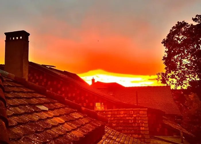 Cozy 3,5 Apartamento *