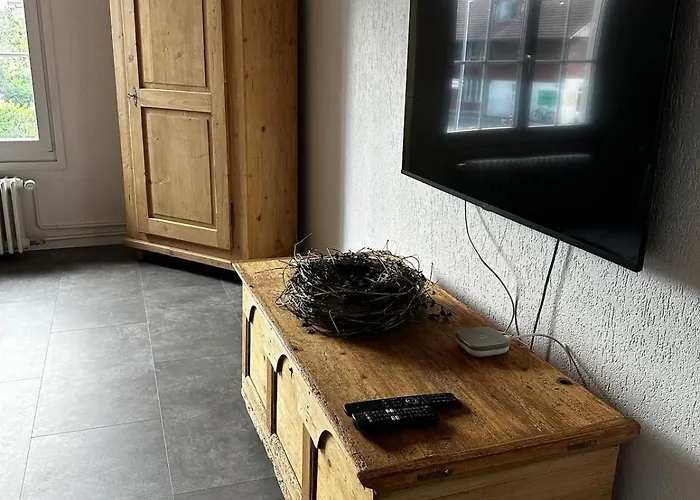 Apartmán Cozy 3,5 Thun